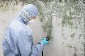 Best Mold Prevention Services  in Cullman, AL